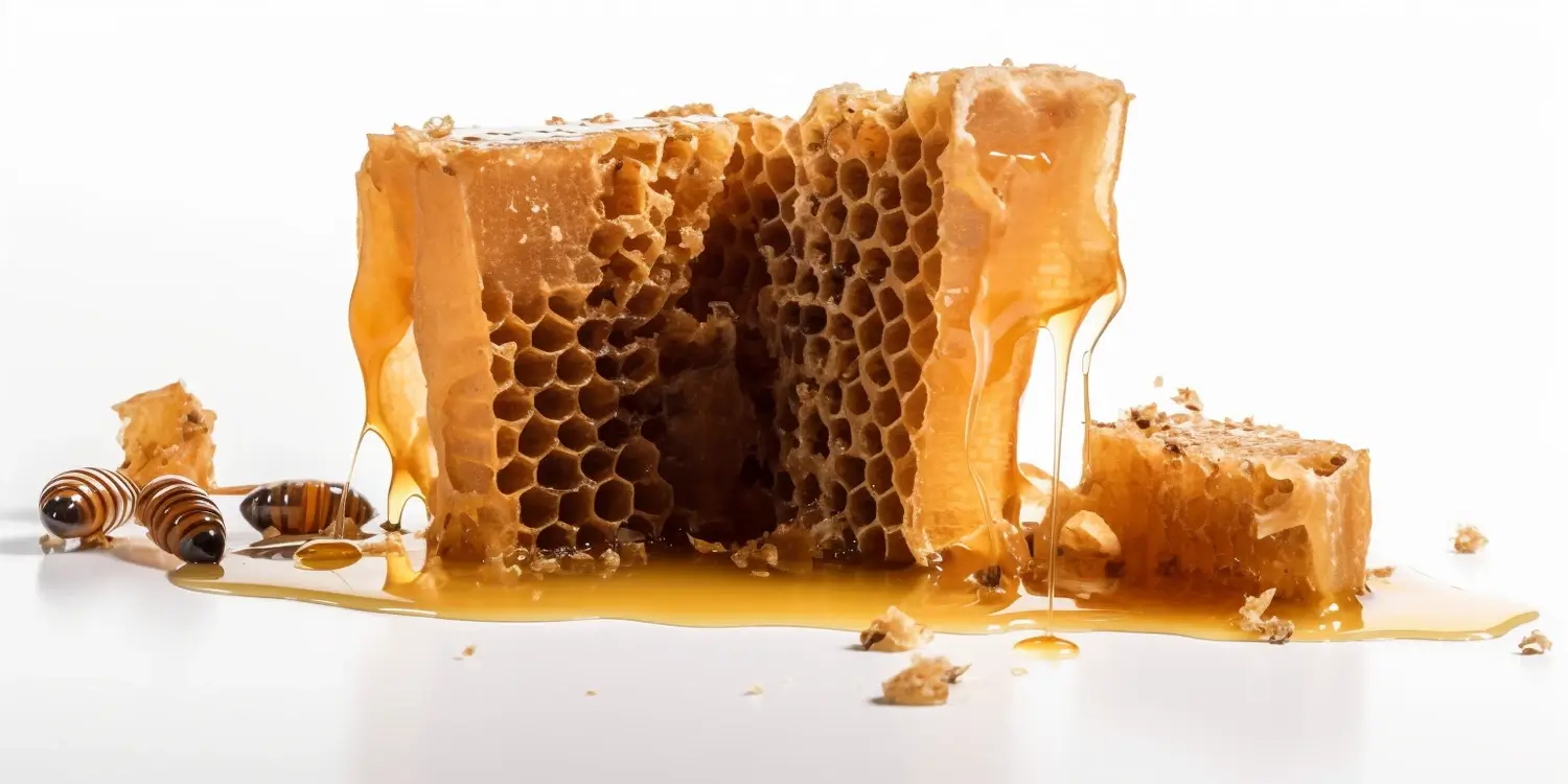 Miód rzepakowy kiedy?